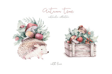 Watercolor illustration with hedgehog, mashrooms, branches, leaves and berries. Set of autumn forest plants, fly agaric and boletus, drawing, Collection of herbarium garden. © kris_art