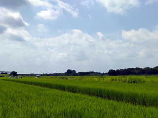 遠景 distant view
