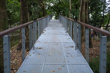 Fototapeta premium Point of View vanishing point of a steel bridge for pedestrian in a public park.