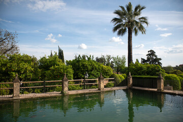 Fototapeta premium The gardens of the Alcazar of the Christian Monarchs in Cordoba, Andalusia, Spain
