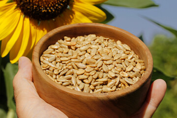 Sunflower seeds.