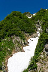 快晴の青空に映える新緑と雪渓