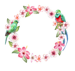 ring, floral wreath, birds of paradise. on a white background. Watercolor. Illustration