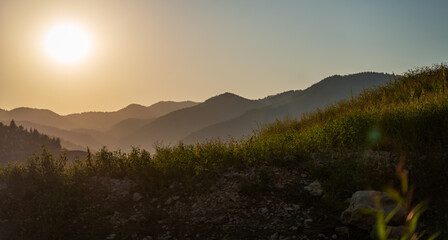 Sunset in the mountains with pine forest, beautiful summer landscape. Tara park Serbia