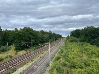Fototapeta na wymiar empty railways in the summer landscape