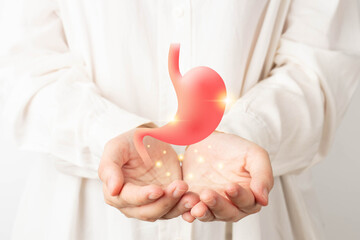 Healthy stomach organ hologram on human hands. Concept of gastric cancer screening, stomach...