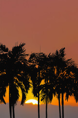 Obraz na płótnie Canvas Illustration image of silhouette palm trees with natural sunset on twilight sky for travel and tourism industry advertising presentation background.