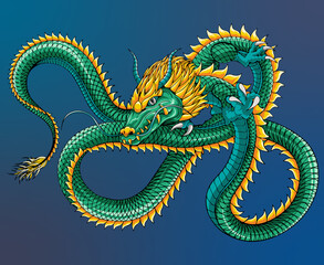 Fototapeta premium Chinese dragon vector illustration