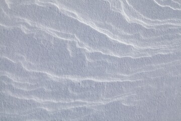 Winter scene with snow patterns on ground.