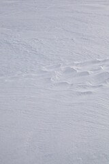 Winter scene with snow patterns on ground.