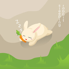 bunny sleeping in the field