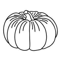 black and white vector illustration. cute pumpkin in the doodle style.