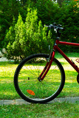 Fototapeta premium front part of red mountain bicycle