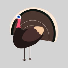 illustration of wild turkey for thanksgiving day