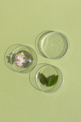 Facial serum or gel with hyaluronic acid, flower and leaves in Petri dishes on a green background. Concept of cosmetics laboratory researches, wellness, beauty and natural cosmetics.