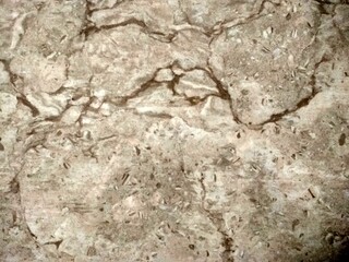 Background texture.Background with vintage grunge texture in distressed black stained grunge design.Elegant luxurious dark background with vintage grunge texture in distressed black stained grunge.