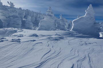 蔵王国定公園の樹氷。山形、日本。１月下旬。
