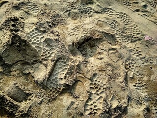 Background texture.Background with vintage grunge texture in distressed black stained grunge design.Elegant luxurious dark background with vintage grunge texture in distressed black stained grunge.