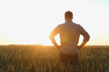 silhouette of man looking at beautiful landscape in a field at sunset.