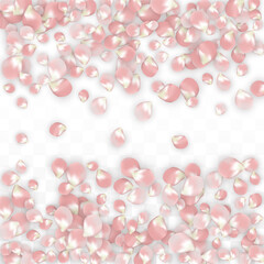 Pink Vector Realistic Petals Falling on Transparent Background. Spring Romantic Flowers Illustration. Flying Petals. Sakura Spa Design. Blossom Confetti. Design Elements for Wedding Decoration.