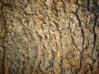 Background texture.Background with vintage grunge texture in distressed black stained grunge design.Elegant luxurious dark background with vintage grunge texture in distressed black stained grunge.