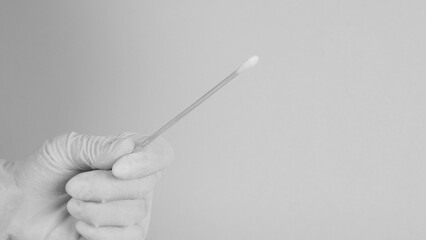 One Cotton stick for swab test in hand with nitrile medical gloves or latex glove on black and white picture .close up