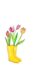 Yellow rain boots with tulips and copy space watercolor
