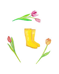 Yellow rain boots and tulips watercolor illustration for springtime - 519122050