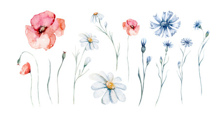 Watercolor wildflowers seamless pattern with poppy, cornflower chamomile, rye and wheat spikelets background - obrazy, fototapety, plakaty