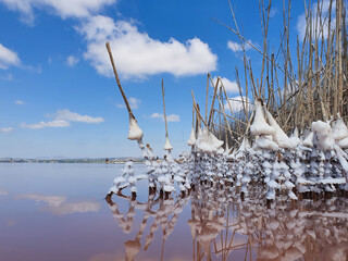 Vega Baja del Segura - Salinas de Torrevieja - La Laguna Salada y su entorno, un paisaje único