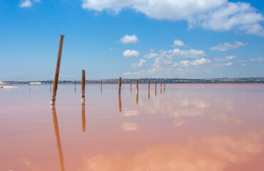 Vega Baja del Segura - Salinas de Torrevieja - La Laguna Salada y su entorno, un paisaje único