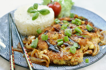 Katsudon Japanese breaded pork cutlet with egg and onion