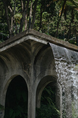 Fototapeta na wymiar old bridge in the forest
