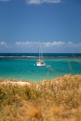 Fototapeta premium sailboat in a bay with turquoise water in Australia