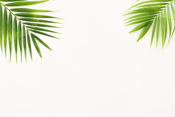 Fototapeta na wymiar Image of tropical green palm over white wooden background