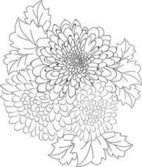 illustration of a flower