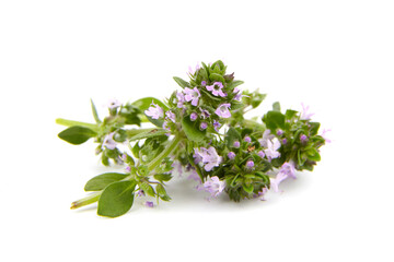 Bunch of fresh thyme isolated on white background
