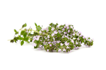 Fresh thyme herb isolated on white background