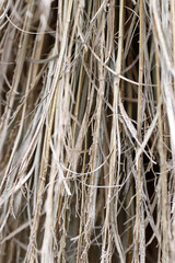 Japanese traditional straw Tied up 
 using palm rope method, close up detail photography.