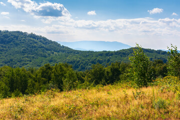 idyllic landscape of carpathian alps with fresh green meadows. forest on the hills beneath a clouds on the blue sky. transcarpathia, ukraine, europe