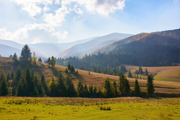 mountainous countryside landscape in autumn. rural fields and pastures among forested hills in dappled light. warm autumn weather. concept of sustainable living in carpathian region