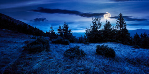 trail through mountain hill at night. landscape with trees on the meadow with weathered grass in...