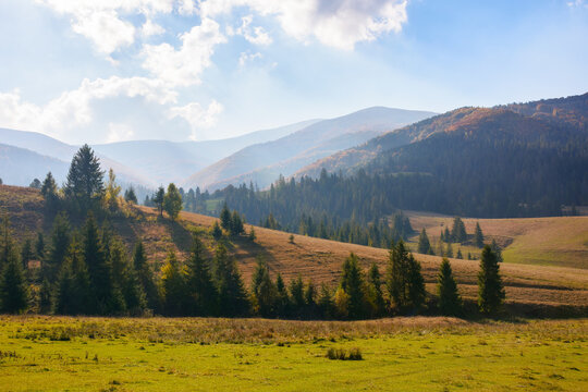 mountainous countryside landscape in autumn. rural fields and pastures among forested hills in dappled light. warm autumn weather. concept of sustainable living in carpathian region