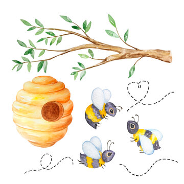 Watercolor honey set, tree branch, beehive and bees