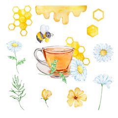 Watercolor honey set, cup, bee, honey and chamomile