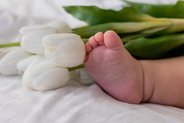 bare feet of a baby in tulips closeup. lifestyle, space for text