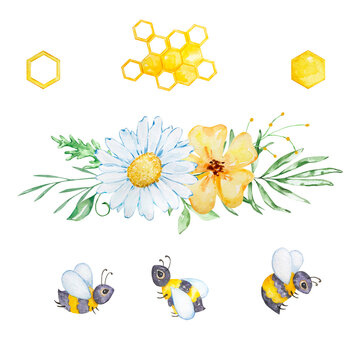 Watercolor set, bees, honeycombs and bouquets of chamomile