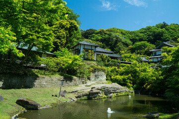 Fototapeta na wymiar 鎌倉 夏の明月院の美しい新緑と和風の建物