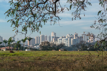 Urban scene shows in the background, high-end residential buildings, commercial buildings, area of land yet to be built, tree branches, Piracicaba SP Brazil.