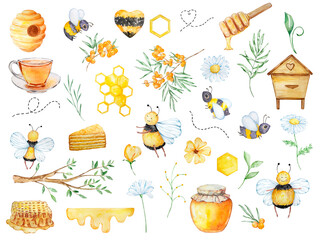 Watercolor big honey set, bees, honeycombs, honey, beehive, chamomile, branch and flowers